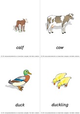 flashcard - at-the-farm 01.pdf